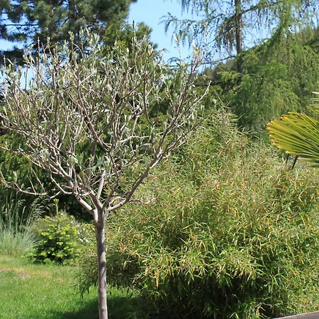 Siegel Apartamento Heimweiler