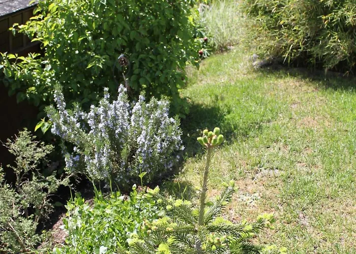 Siegel Апартаменты